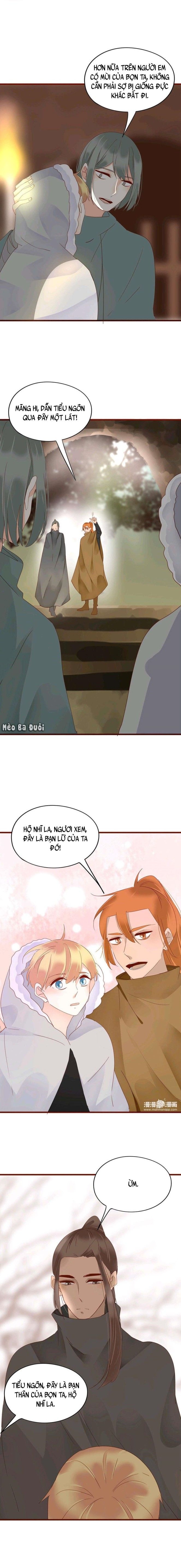 Trang 5