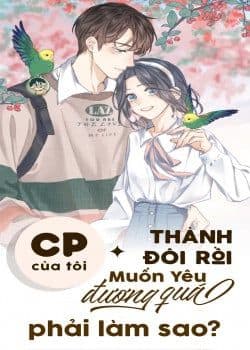 Cp Gõ Cửa Đòi Yêu Đương Phải Làm Sao ?