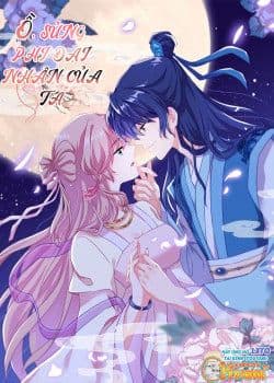 Ồ, Sủng Phi Đại Nhân Của Ta